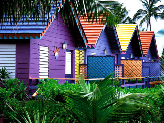 Colorful houses palm trees blue 4 - albert irvin free wallpaper