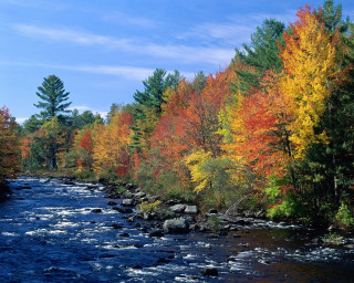 River trees fall colors rocks 3 - fall free wallpaper