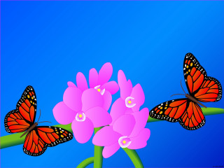 Butterflies flying pink flower blue 3 - a pink border free wallpaper