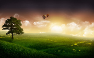 Tree hot air balloon field 2 - hot free wallpaper for desktop