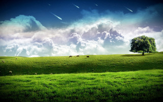 Green field tree clouds sheep - a few sheep free wallpaper