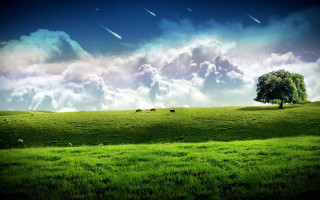 Green field tree clouds sheep 2 - a few sheep free wallpaper