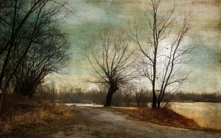 Dirt road trees water distance - both side of it free wallpaper for desktop