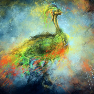 Peacock colorful background blue sky - free fantasy wallpaper for tablet