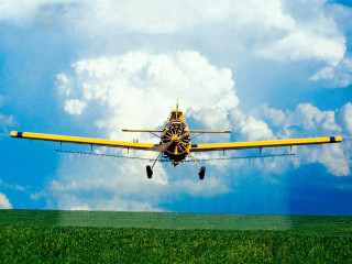 Yellow airplane cloudy sky green 5 - the wing free wallpaper
