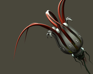 Red white flower long stem 2 - biopunk free wallpaper