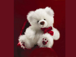 White teddy bear red bowtie - a white teddy bear free wallpaper
