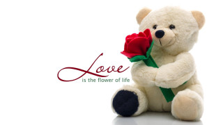 Teddy bear red rose love - love free wallpaper