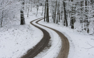 Snow covered road forest winter - both side of it free wallpaper