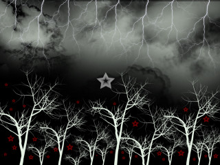 Star dark sky trees foreground - the middle free wallpaper