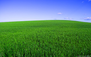 Green grass blue sky clouds 15 - color field free wallpaper