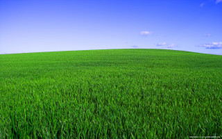 Green grass blue sky clouds 16 - color field free wallpaper