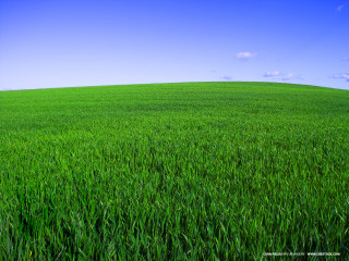 Green grass blue sky clouds 17 - green grass free wallpaper