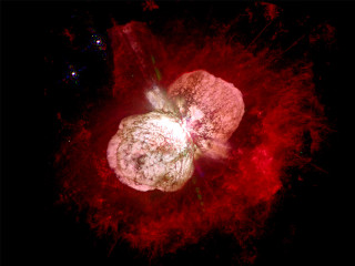 Red black flower cosmic moon - a white center free wallpaper