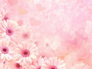 Pink background white flowers hearts - heart free wallpaper for desktop