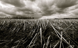 Field grass clouds sky background 2 - chris friel free wallpaper
