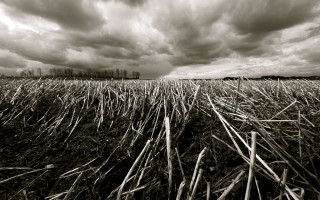 Stormy cloudy sky grass field - chris friel free wallpaper