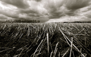 Stormy cloudy sky grass bare - chris friel free wallpaper