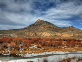 Mountain river snow field bushes - a few bush and trees free wallpaper