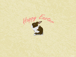 Rabbit white floor easter message - a white floor next free wallpaper