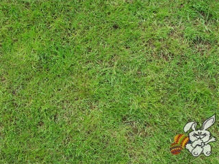 Cartoon rabbit grass frisbee red 2 - grass free wallpaper