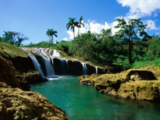 Tropical waterfall cascade palm trees 3 - a tropical setting free wallpaper
