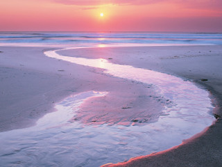 Sunset beach stream person walking - betye saar free wallpaper