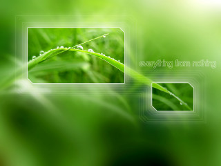 Green leaf eden box environmental - nothing free wallpaper