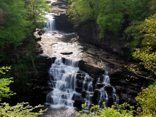 Waterfall forest trees bench nature - a waterfall in a forest free wallpaper