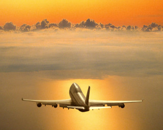 Plane sky sun clouds yellow - a plane free wallpaper