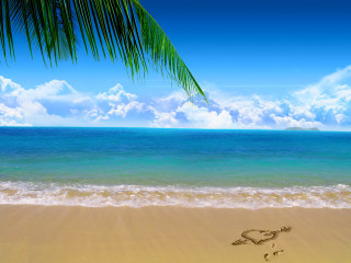 Palm tree heart sand ocean - a heart free wallpaper