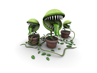 Plants with mouths potted vines - biopunk free wallpaper