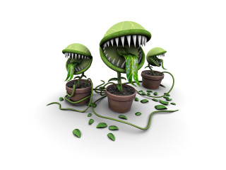 Plants with mouths and teeth - biopunk free wallpaper