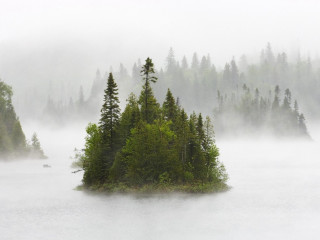 Small island lake trees foggy - the foggy day free wallpaper