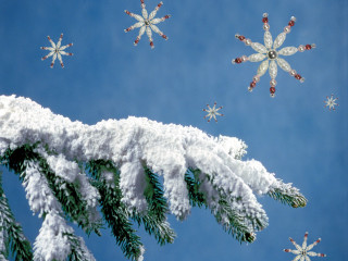 Snow covered pine branch snowflakes 2 - white snow free wallpaper