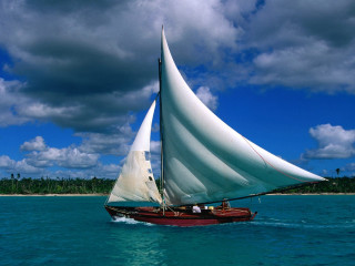 Sailboat white sail water beach 3 - a sailboat free wallpaper