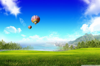Hot air balloons green field 2 - a couple free wallpaper