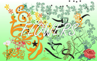 Green background flowers stars rose 4 - a rose free wallpaper