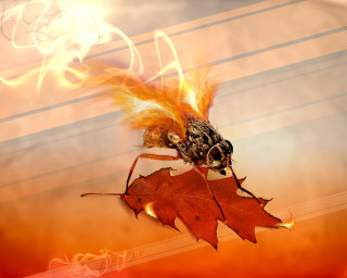 Bee leaf fire effect background - a bee free wallpaper