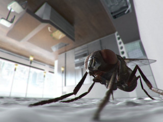 Fly closeup surface building light - vray free wallpaper