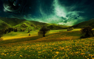 Flower field mountain sky space - yellow flower free wallpaper