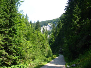 Road trees mountain sky clouds 2 - danube school free wallpaper