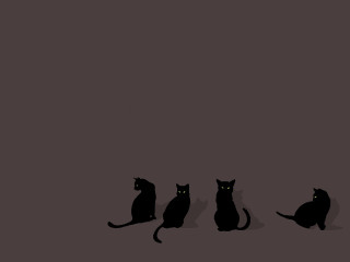 Cats sitting row wall next - a group of cats free wallpaper