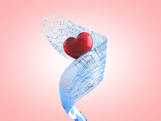 Heart glass vase water pink 2 - a glass vase free wallpaper