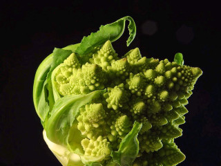 Broccoli fractals macro black background - broccoli free wallpaper