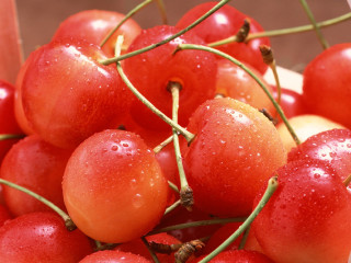 Cherries water droplets table stems - a bunch of cherries free wallpaper