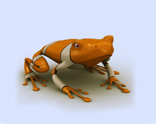 Frog 3d rendering orange white 2 - 3 d model free wallpaper