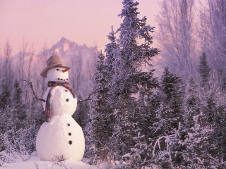 Snowman hat scarf snow forest - brian snøddy free wallpaper