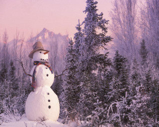 Snowman hat scarf snow forest 3 - brian snøddy free wallpaper