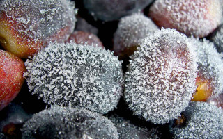 Closeup frosted plums sugary crystals - fruit free wallpaper for desktop